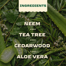 Neem Raja